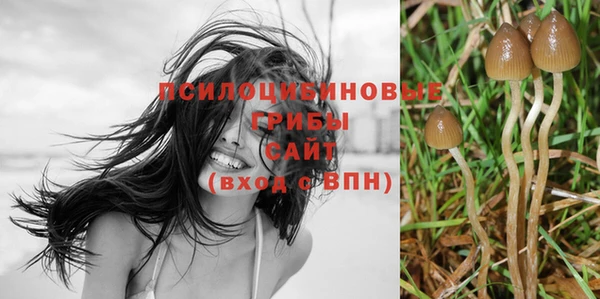 гидра Абдулино
